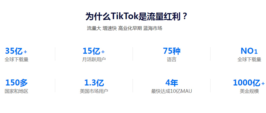 阜阳Tiktok推广  第3张